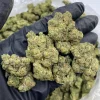 Biscotti 41 UK Online