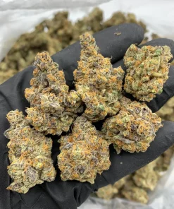 Blue Dream Weed Online UK