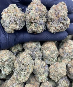 Blue Gelato Strain Online UK