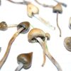 Liberty caps UK