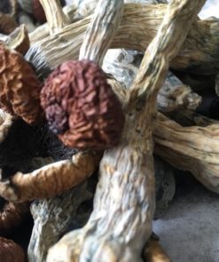 Psilocybin