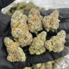 Cake Crasher Strain Online
