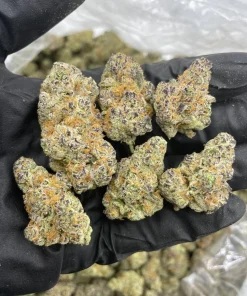 Cake Crasher Strain Online