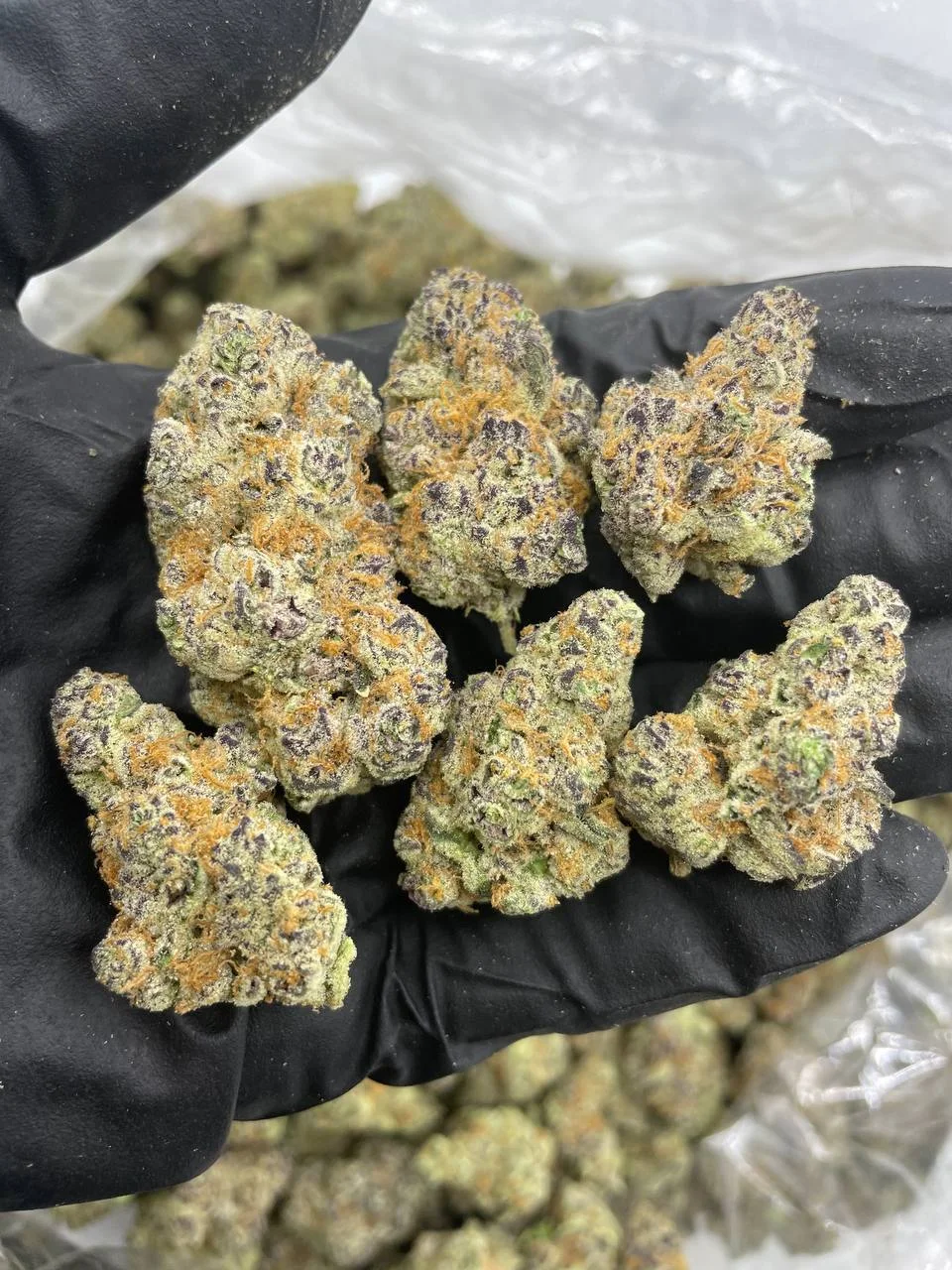 Cake Crasher Strain Online