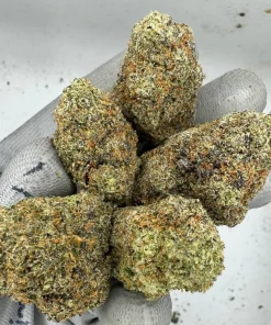 Northern Lights Weed Strain Online