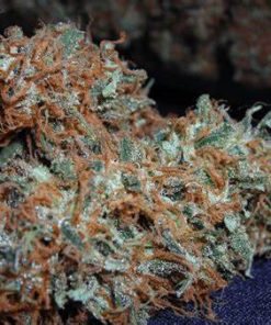 Amnesia Haze Online
