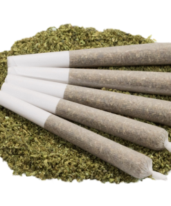 Pre Rolls
